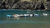 _MG_6600 Vernazza boats